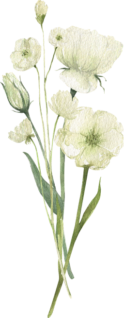 Watercolor White Flowers Bouquet