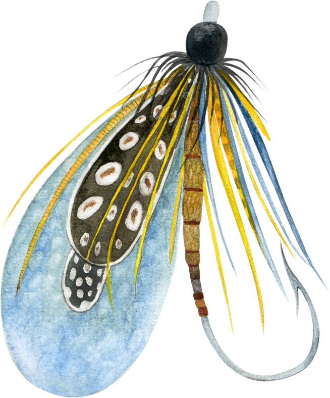 Bright fly fishing hook with feather by watercolor